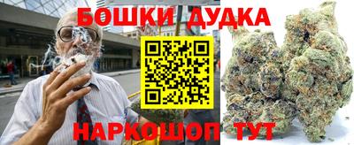 гидра Бузулук