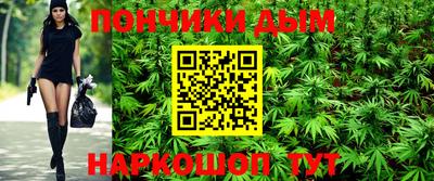 МДПВ Будённовск