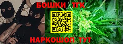 МДПВ Будённовск