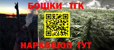 МДПВ Будённовск