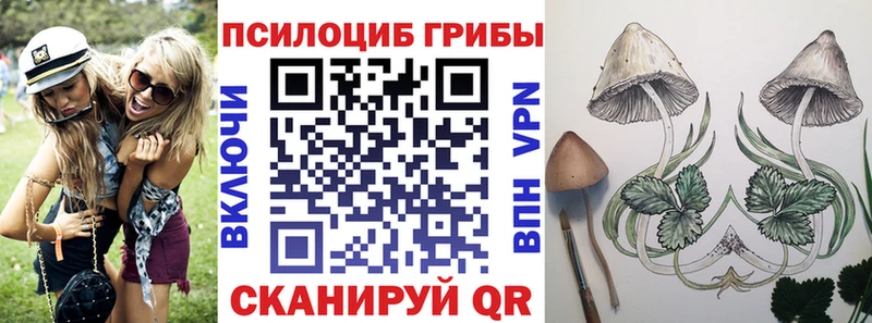 Галлюциногенные грибы мухоморы как найти Павловский Посад