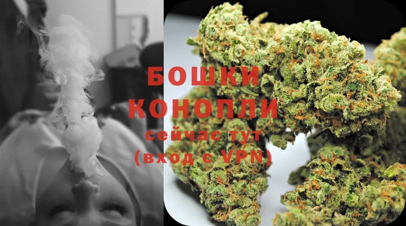 наркотики  omg сайт  Каннабис SATIVA & INDICA  Павловский Посад 